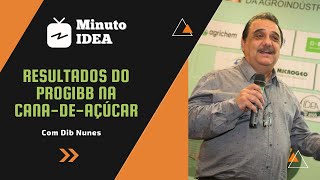 RESULTADOS DO PROGIBB NA CANADEAÇÚCAR  DIB NUNES [upl. by Enutrof]