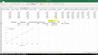 Enzyme Kinetics Calculations [upl. by Alroy]