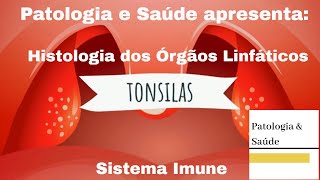 Histologia do Sistema Imune e Órgãos Linfáticos  Tonsilas [upl. by Enilehcim]