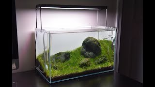 Minimalist Hakkai Stone Iwagumi Aquarium [upl. by Elacsap]