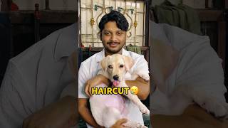 Baal Chote Kara Liye🥲🥲 shorts vlog minivlog haircut hair [upl. by Samson71]