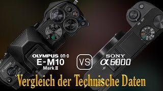 Olympus OMD EM10 Mark III vs Sony A6000 Ein Vergleich der technischen Daten [upl. by Shien]