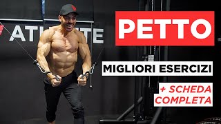 SCHEDA PETTO  Analisi migliori esercizi pettorali  scheda completa [upl. by Ailerua]