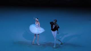 150918 Andrea Lassakova debut in Swan Lake Act I Entree of Odette [upl. by Cope]