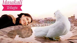 Masakali Song Telugu  Manohari Manohari  Delhi 6 Telugu Dubbed Movie [upl. by Adin82]