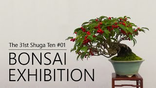 SHOHIN BONSAI EXHIBITION｜Fruits and leafedout branches autumn in BONSAI｜The 31st Shugaten [upl. by Daiz]