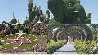 Miracle Garden Dubai 2024  The Worlds Biggest Natural Flower Garden Walking Tour 4K [upl. by Nagap770]