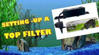 SETTING UP THE VENUS AQUA 600T TOP FILTER Filter Waterfilter Aquascapephilippines Venusaqua [upl. by Talley]