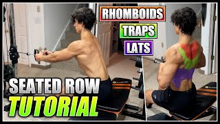 How to do the SEATED CABLE ROW  2 Minute Tutorial [upl. by Otipaga]