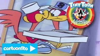 Tiny Toon Adventures  Pizza Problems  Cartoonito [upl. by Tremaine]