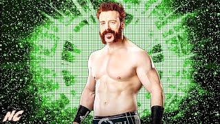 WWE quotWritten In My Facequot w Hellfire Intro Sheamus 2024 NEW Theme Song Arena Effect  ᴴᴰ [upl. by Walke230]