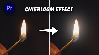 How to Create a Cinematic Bloom Effect EASY Premiere Pro Tutorial [upl. by Yramesor569]