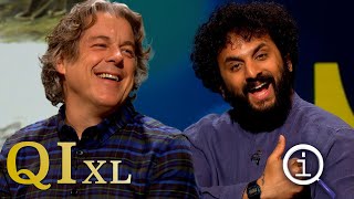 QI Series 18 XL Quads amp Quins  With Aisling Bea Nish Kumar amp David Mitchell [upl. by Abbotsun]