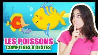 Les petits poissons dans leau  Comptines à gestes pour les bébés  Titounis [upl. by Denten]