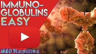 Immunoglobulin  Easy Explanation with Mnemonics [upl. by Nizam]