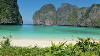 January 2022 Walking Maya Bay Phi Phi islands Day Trip from Krabi Watch before visiting [upl. by Ng]