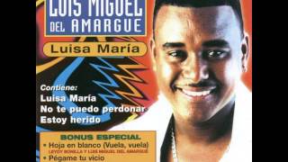 Luis Miguel Del Amargue  Estoy Herido [upl. by Marion]