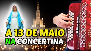 🙏Linda Música na concertina A 13 de Maio  Joelhos ao Chão de Carlos Ribeiro e Maria Celeste 🪗 [upl. by Lach884]