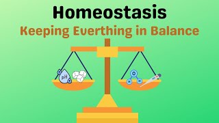 Homeostasis in Cells [upl. by Connett]