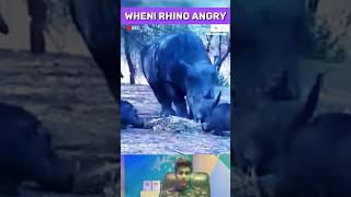 Angry Rhino Shows Power To Lions Warthog amp Lioness  Wildlife Animal shorts [upl. by Sivatnod]