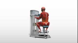 Exercise Videos Torso Rotation  Machine [upl. by Imnubulo]