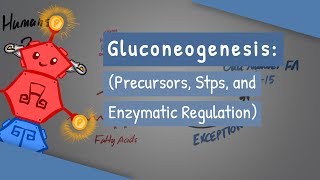 Gluconeogenesis [upl. by Arick]