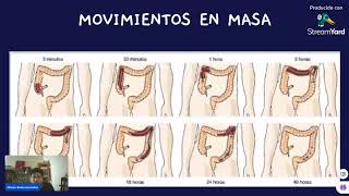 Cápsula 6 motilidad Fisiología Gastrointestinal [upl. by Campman121]