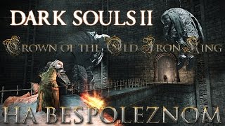 Dark Souls 2  Crown of the Old Iron King 1 [upl. by Sarette]