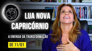 LUA NOVA EM CAPRICÓRNIO  TEMPO DE NOVOS COMEÇOS E OPORTUNIDADES  MÁRCIA FERVIENZA [upl. by Goodden]