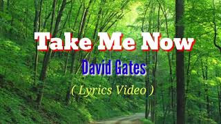 Take Me Now Lyrics Videoby David Gates [upl. by Daveta899]