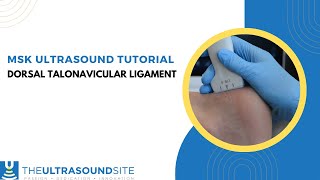 How to evaluate the midfoot for the dorsal talonavicular ligament on ultrasound [upl. by Fransis]