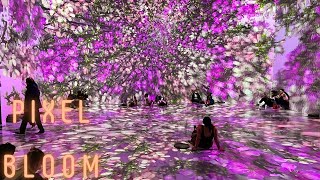 Washington DC ARTECHOUSE PIXELBLOOM 2022 Immersive Metaverse Experience [upl. by Dloraj]