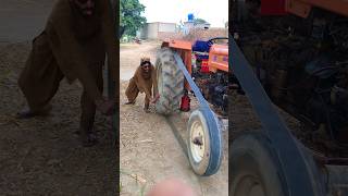 Tractor Starting With Powerfull Man 🙉 viral trending shorts hassanbhai [upl. by Acirderf]