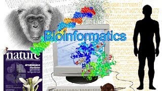 Bioinformatics part 1 What is Bioinformatics [upl. by Fraase]