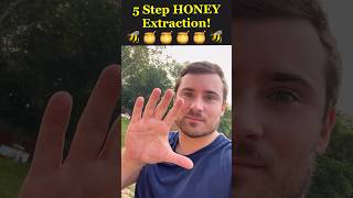 5 Shockingly Easy Steps to Harvest Honey 🍯🐝  Unbelievable Results [upl. by Annatsirhc]