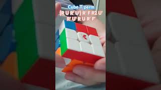 Cube pll T perm cfop method [upl. by Notyrb]