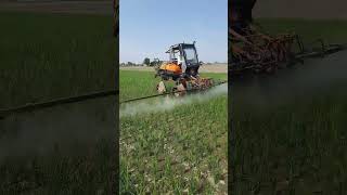 Nominee Gold  Bispyribac Sodium  ਨੋਮਿਨੀ ਗੋਲਡ  Herbicides  How to spray  Be a farmer [upl. by Vivian376]