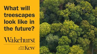 What will treescapes look like in the future [upl. by Farlie]