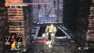 Dark Souls Remastered  Walkthrough Part 17 The Catacombs [upl. by Yeniffit108]