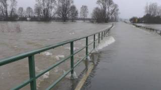 Hochwasser Kleve  Griethausen Warbeyen am 13012011 [upl. by Loreen653]