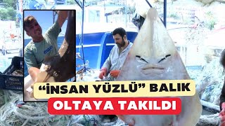 Antalyada 2 metre boyunda İnsan yüzlü balık yakaladı [upl. by Laurin415]