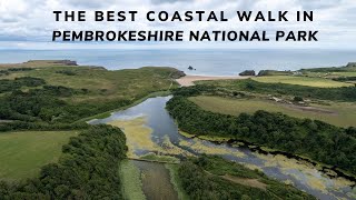 Bosherston Lily ponds Broadhaven South amp Barafundle Bay  Pembrokeshire National Parks best walk [upl. by Anaig809]