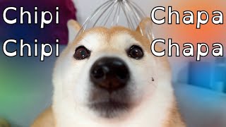 Chipi Chipi Chapa Chapa Dubi Dubi Daba Daba Doge [upl. by Gnoz958]