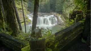 Visit Your Pacific Northwest National Forest [upl. by Weidner]