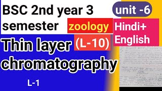 BSC 2nd year 3 semester zoology topic Thin layer chromatography TLC PART 1 [upl. by Sible]