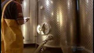 How Its Made Wine [upl. by Annais]