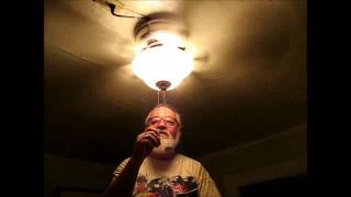 Ceiling fan quick and dirty install [upl. by Ayanad]