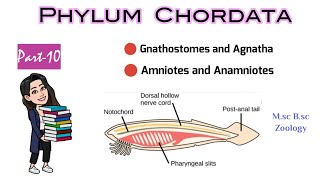 Part10 What are Gnathostomes amp AgnathaDifference between Anamniotes and AmniotesMSc BSc Zoology [upl. by Kayle]