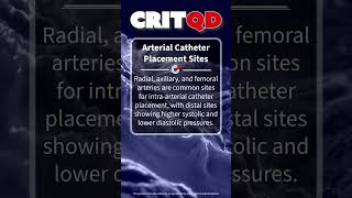 Arterial Catheter Placement Sites [upl. by Aital]