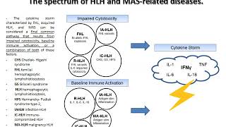 macrophage Activation Syndrom [upl. by Bresee837]